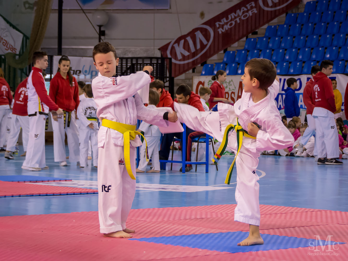 TAEKWONDO CAMPEONATO PAREJAS ABRIL 2018_1706.jpg
